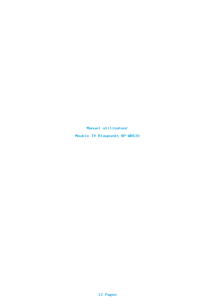 Page 1 de la notice Manuel utilisateur Blaupunkt BP-WB630