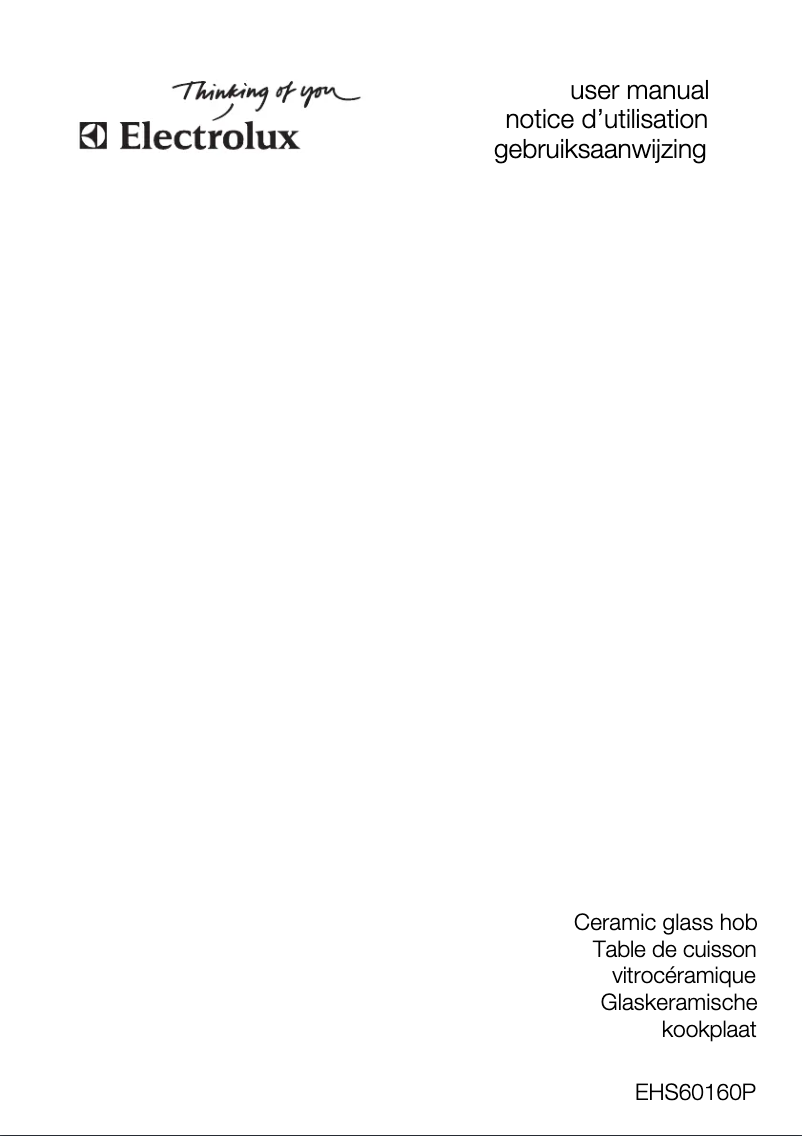 Page 1 de la notice Manuel utilisateur Electrolux EHS60160P