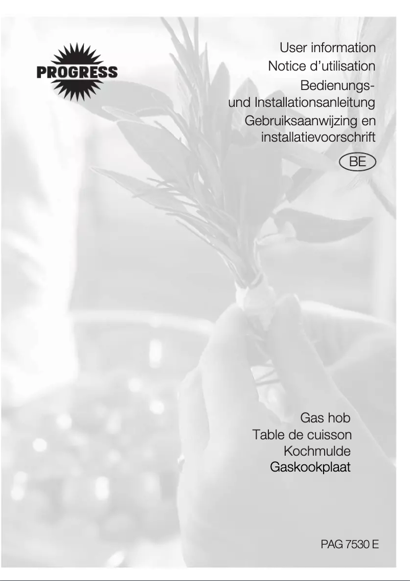 Page 1 de la notice Manuel utilisateur Progress PAG7530E-B