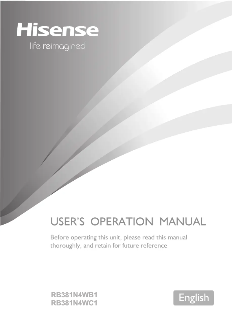 Page 1 of the manual User Manual Hisense RB381N4WB1