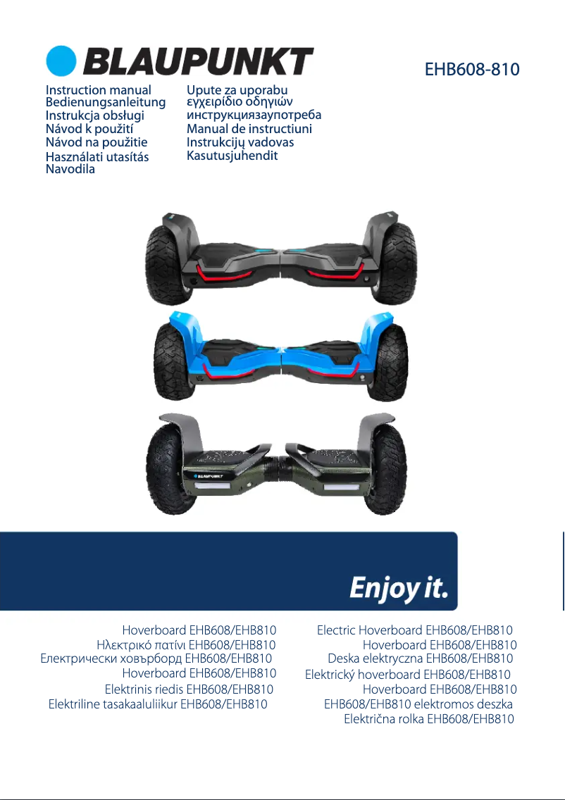 Page 1 de la notice Manuel utilisateur Blaupunkt EHB810