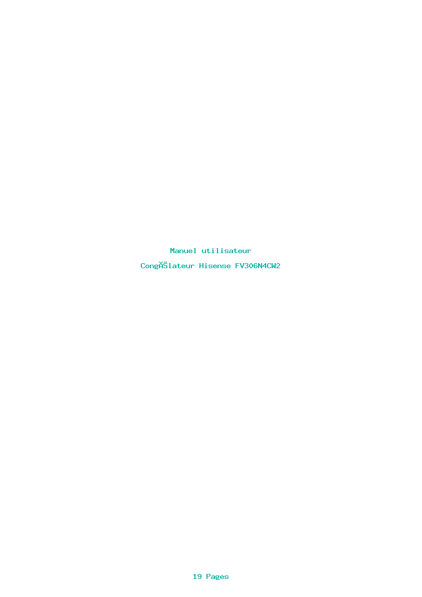 Page 1 de la notice Manuel utilisateur Hisense FV306N4CW2