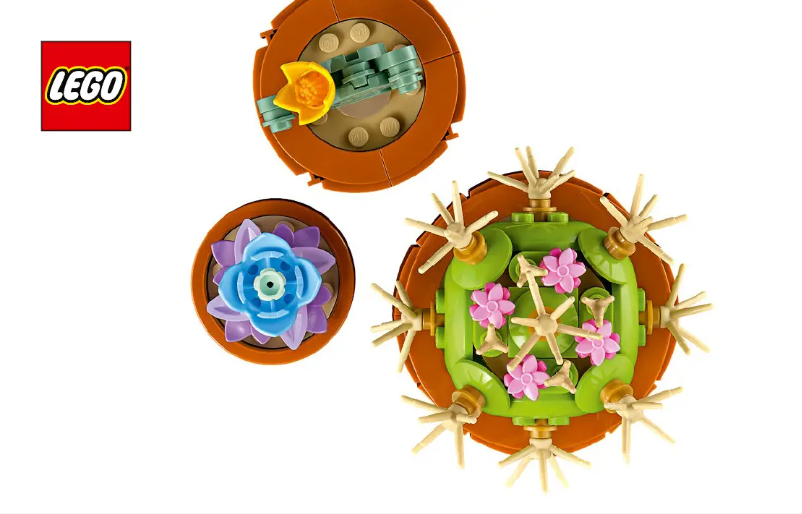 Page 1 de la notice Consignes visuelles Lego Icons 10329