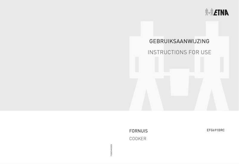 Page 1 de la notice Manuel utilisateur Etna EFG691