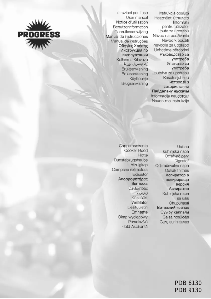 Page 1 de la notice Manuel utilisateur Progress PDB6130