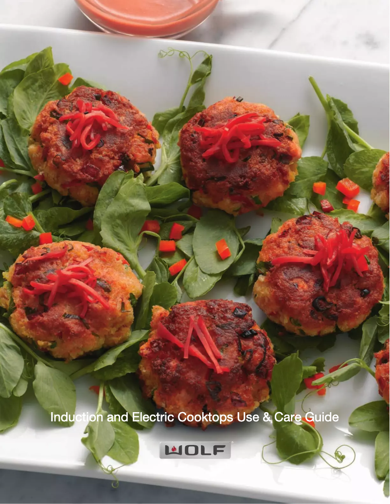 Page 1 de la notice Manuel d'utilisation et d'entretien Wolf CI304T/S