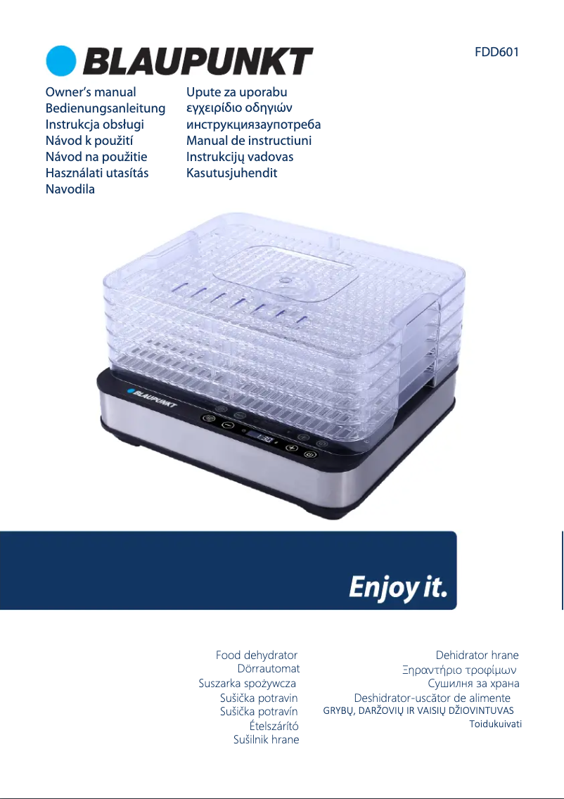 Página 1 del manual Manual de usuario Blaupunkt FDD601