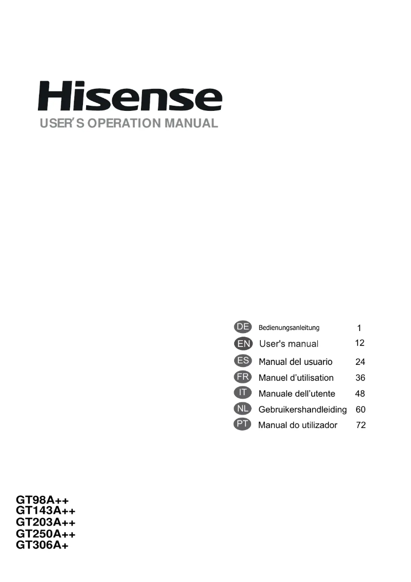 Page 1 de la notice Manuel utilisateur Hisense GT 306 A+