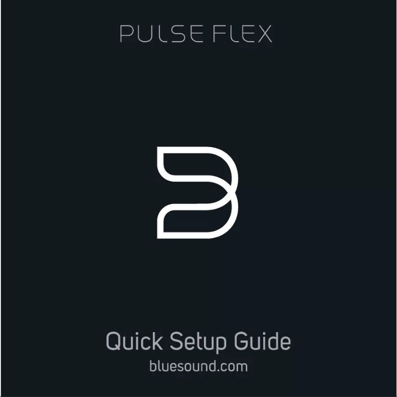 Página 1 del manual Manual de usuario Bluesound PulseFlex