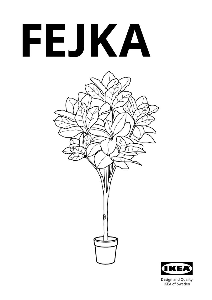 Page 1 de la notice Manuel utilisateur Ikea FEJKA 605.483.13