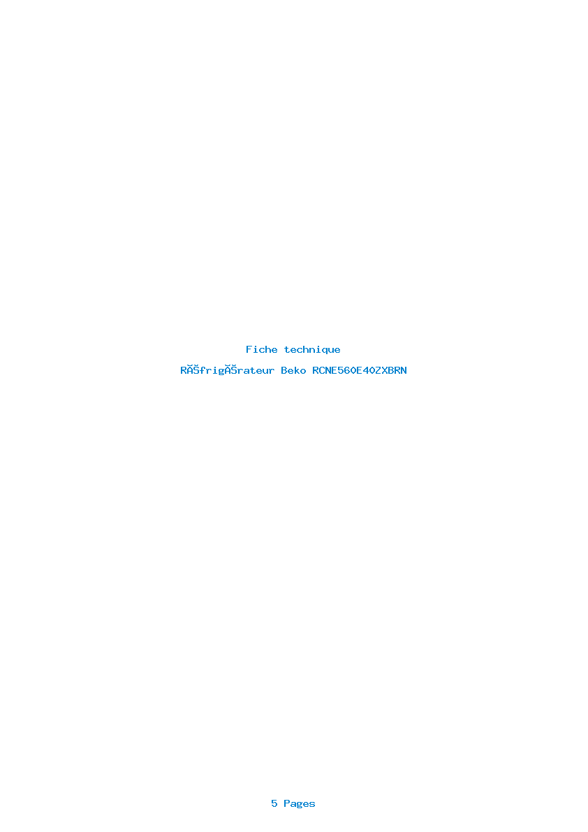 Page 1 de la notice Fiche technique Beko RCNE560E40ZXBRN