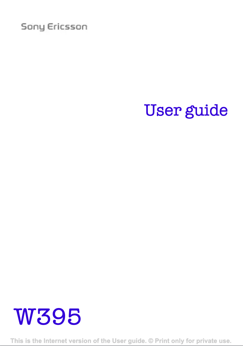 Page n°1 - Manuel utilisateur Sony W395