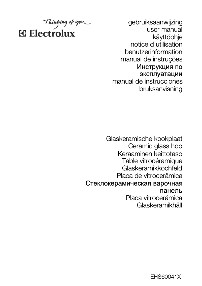 Page 1 de la notice Manuel utilisateur Electrolux EHS60041X