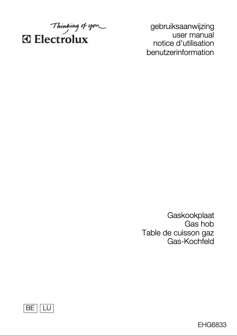 Page 1 de la notice Manuel utilisateur Electrolux EHG6833X