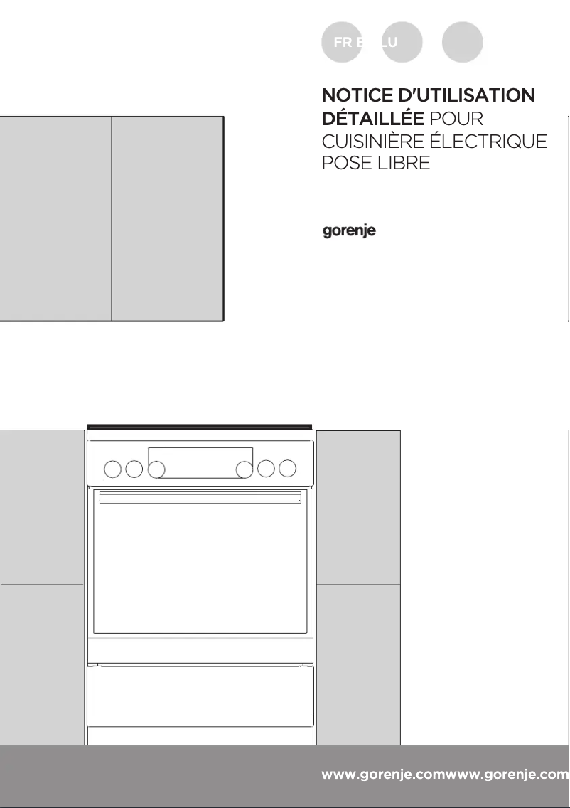 Page 1 de la notice Manuel utilisateur Gorenje EC6352XPA