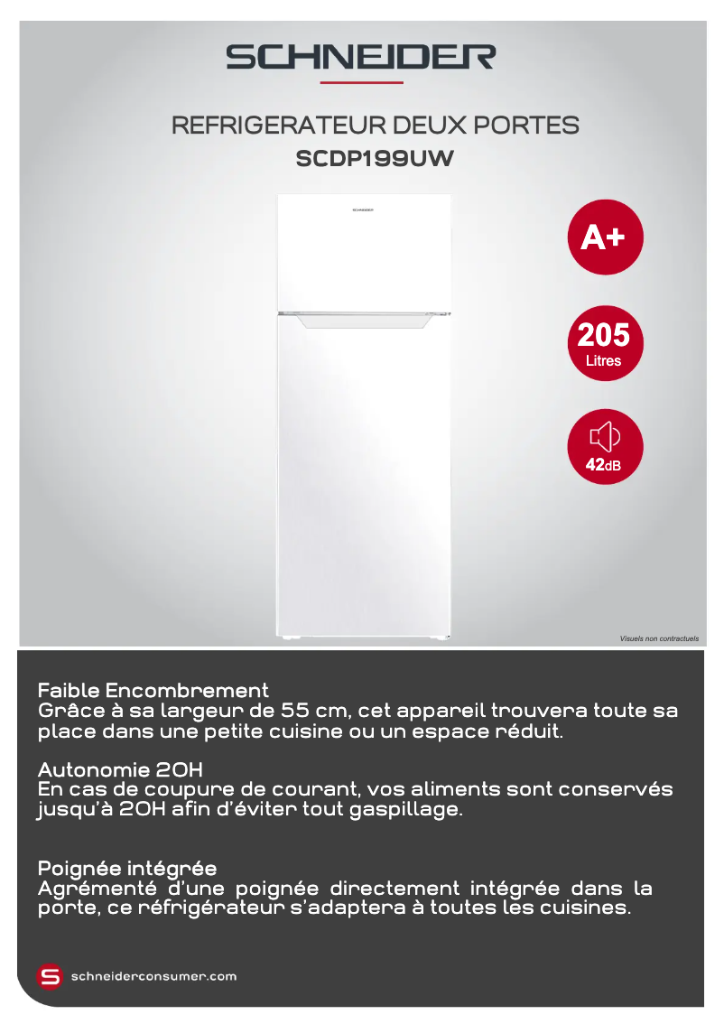 Página 1 del manual Ficha técnica Schneider SCDP199U