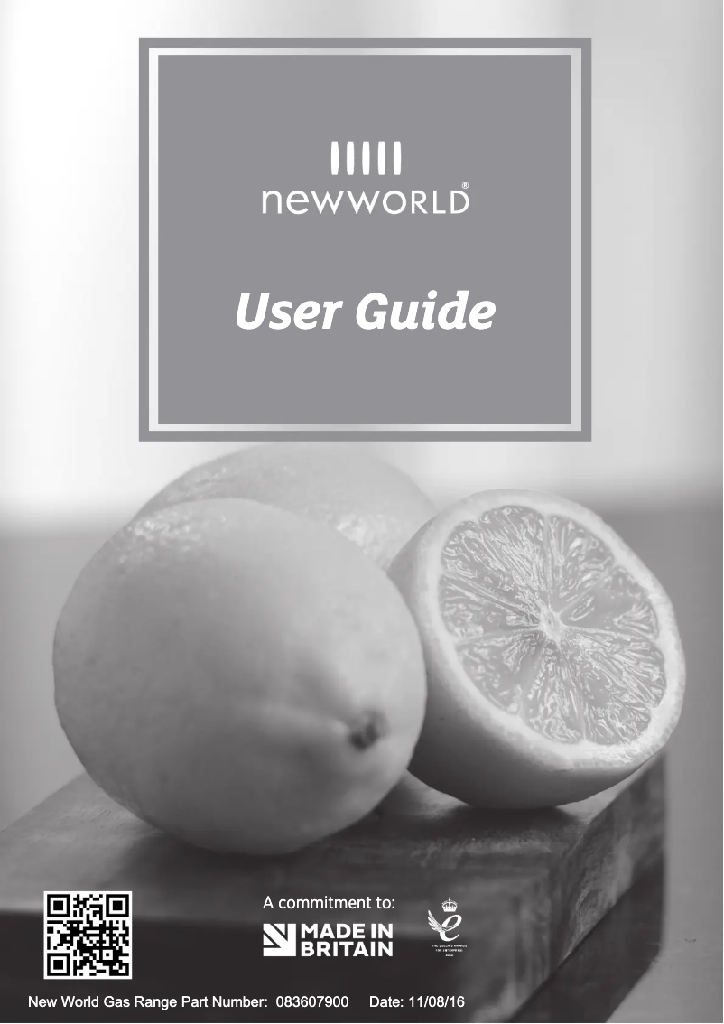 Page 1 de la notice Manuel utilisateur New World Vision 100G