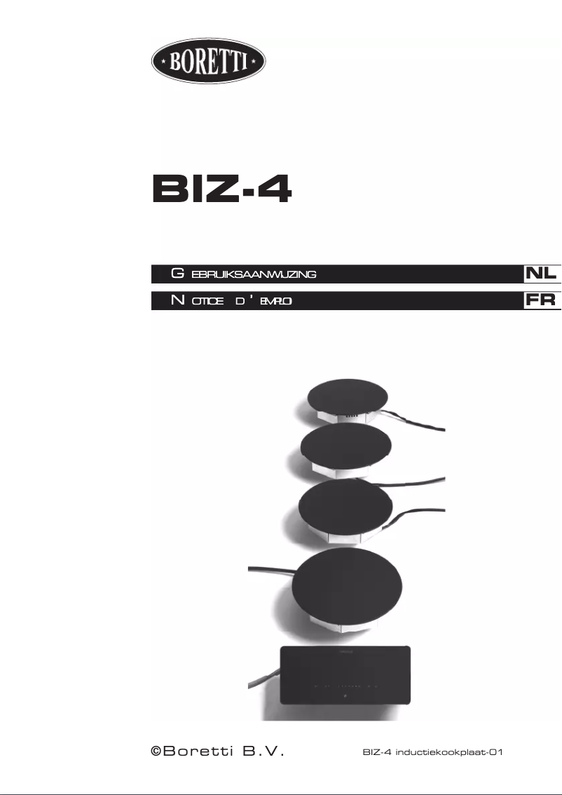 Page 1 de la notice Manuel utilisateur Boretti BIZ4