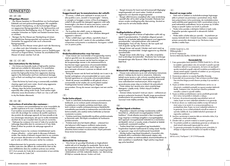 Page 1 de la notice Manuel utilisateur Ernesto Z27864