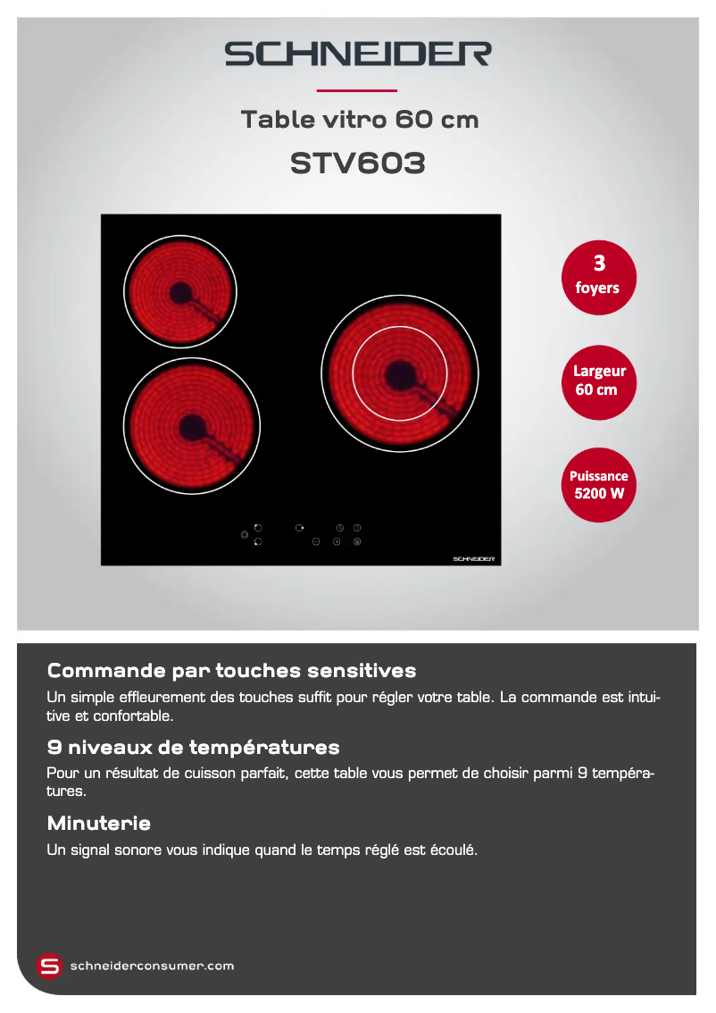Página 1 del manual Ficha técnica Schneider STV603